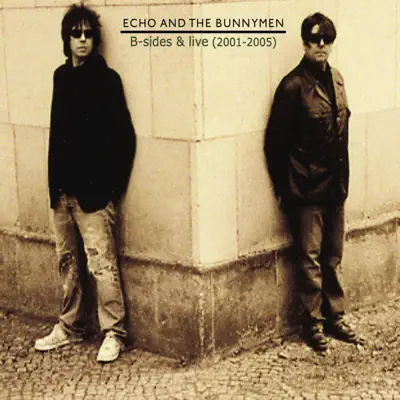 B-Sides and Live (2001 - 2005) - Echo & The Bunnymen