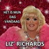 Het Is Mijn Dag Vandaag - Single