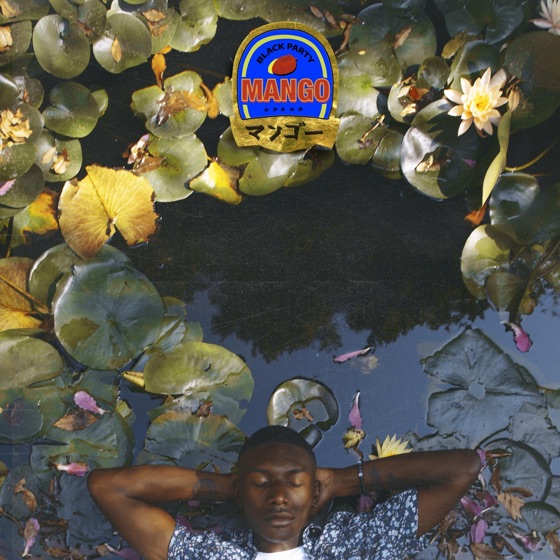Cover artwork for Swang My Way
