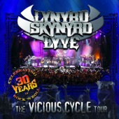 Lyve: The Vicious Cycle Tour (Live) artwork