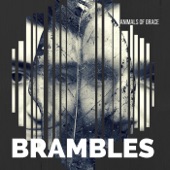 Animals of Grace - Brambles