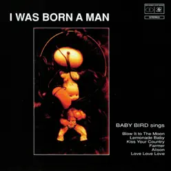 I Was Born a Man - Babybird