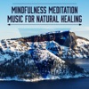 Mindfulness Meditation Music for Natural Healing: Chakra Balancing Nature Sounds, Reiki Massage, Spa Lounge, Calming Relaxing Music