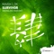 Survivor (Radio Edit) - Mark L2K lyrics