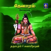 Chidambaram - Dharmapuram P. Swaminathan