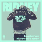 Heaven (feat. Andy Muscat) [Disco Despair Remix] artwork