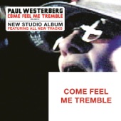 Paul Westerberg - What a Day (For a Night)