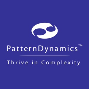Getting Started with PatternDynamics Part 3: The Source Course