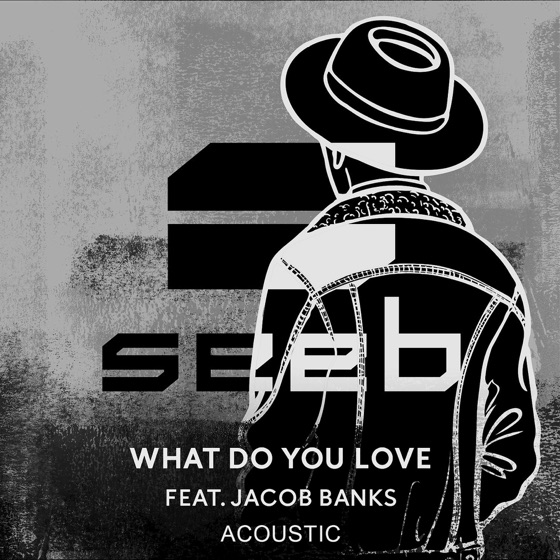 Cover artwork for What Do You Love (feat. Jacob Banks) [Acoustic]