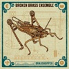 Brasshopper