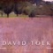 There Is a Green Hill Far Away (Solo Piano) - David Tolk lyrics