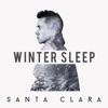 Winter Sleep - Single