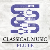 Classical Music - Flute artwork