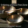 111 Entering a Stress Free Zone: Calming Music Session for Meditation, Relaxation, Reiki, Massage, Spa, Chakra Healing album lyrics, reviews, download