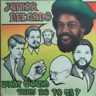 descargar álbum Junior Delgado - What Would They Do To Us