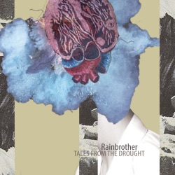Rainbrother - Birds Don't Fly