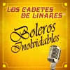 No Hay Novedad by Los Cadetes De Linares iTunes Track 14