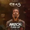 Nkechi Turn Up - Single album lyrics, reviews, download