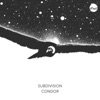 Condor - Single