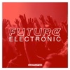 Future Electronic