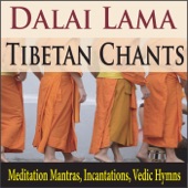 Dalai Lama Tibetan Chants (Meditation Mantras, Incantations, Vedic Hymns) artwork