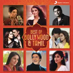 Best of Bollywood & Tamil by Various Artists album reviews, ratings, credits