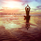 Musicas Calmas - Musicas Instrumentais de Relaxamento para Dormir e Sons Relaxantes para Bem Estar e Saude Grande - Ariana Padilla
