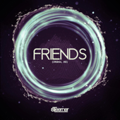 Friends (Radio Edit) - Steerner