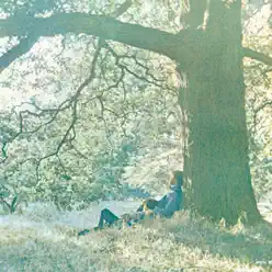 Plastic Ono Band - Yoko Ono