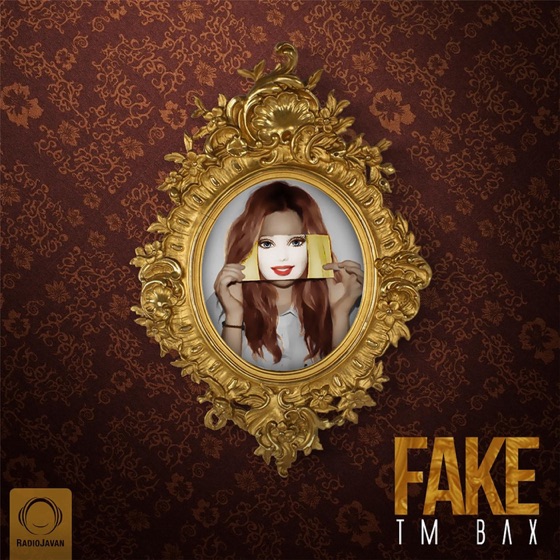 Cover artwork for Fake