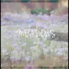 Meadows - Single album lyrics, reviews, download