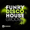 Funky Disco House Grooves, Vol. 01