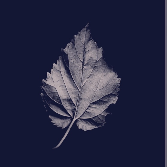 Cover artwork for Ordinary World