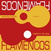 Fandango Flamenco (Solo Guitarra) artwork