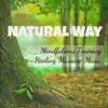 Natural Way - Mindfulness Training Healing Massage Music for Positive Thought Spiritual Retreats Inner Peace with Nature Instrumental Soothing Sounds album lyrics, reviews, download