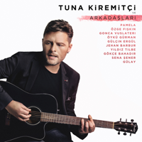 Various Artists - Tuna Kiremitçi ve Arkadaşları artwork