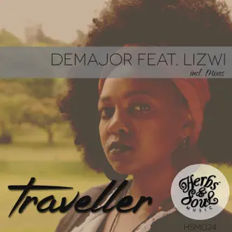 Traveller (feat. Lizwi) - EP by DeMajor album reviews, ratings, credits