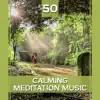 50 Calming Meditation Music: Perfect Balance, Spiritual Enlightenment, Buddhist Mantras, Chakra Healing, Classical Indian Flute, Yoga & Reiki Music album lyrics, reviews, download