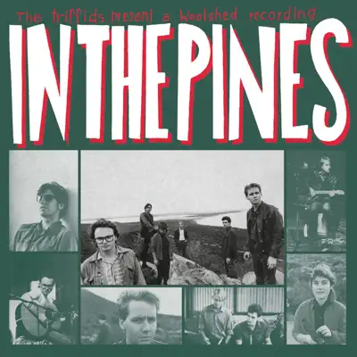 In the Pines - The Triffids