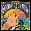 Goodbye for Now (feat. RDGLDGRN) - Single album lyrics, reviews, download