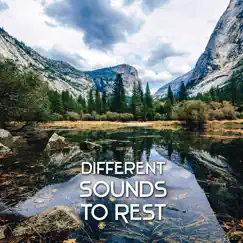 Different Sounds to Rest – Time for Reflections with Peaceful Music, Eternal Bliss, Soul Relax and Spiritual Enlightenment by Restful Music Consort album reviews, ratings, credits