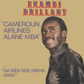 Cameroun Airlines Alane Mba artwork