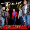 Like Hell I Will! - Single