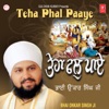 Teha Phal Paaye