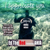 I Appreciate You (feat. Ania) [Down and Out's Summer of 17 Mix] artwork