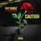 Caution (feat. Charlee Roze) - Ray Bandz & Charlee Roze lyrics
