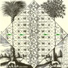 Greenwhales - Voglio una Donna