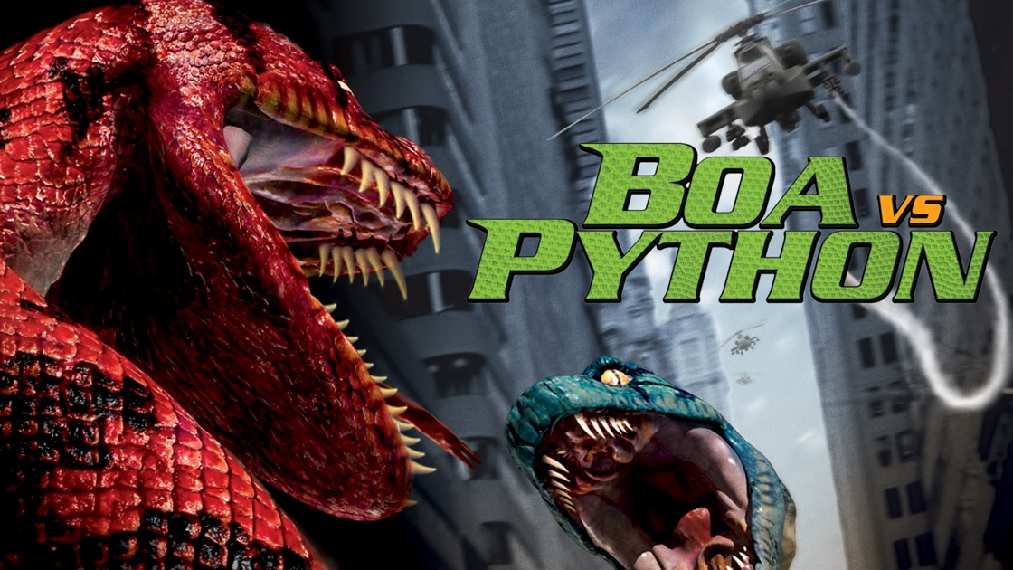 boa vs python 2004