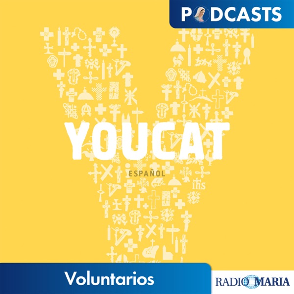 Catecismo de los jóvenes, YouCat