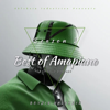 Best of Amapiano - Boyzin Nhlakzin